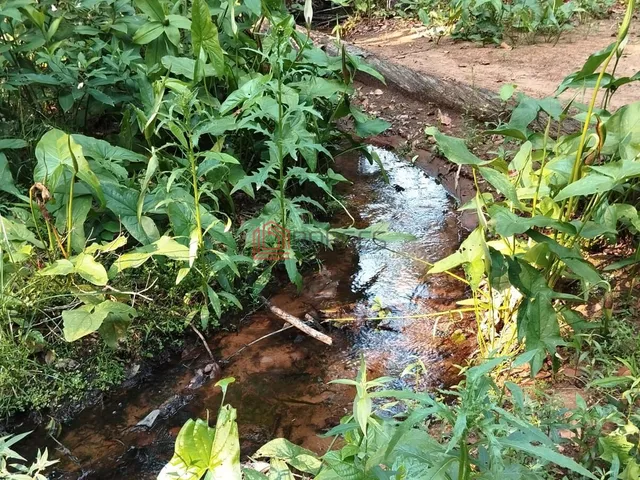 Imagem 7: Chácara no Bananal - Betel