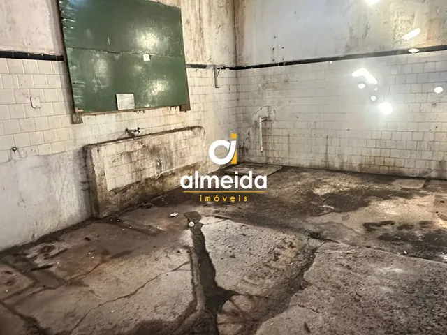 Imagem 11: Prédio 5 dormitórios à venda Nossa Senhora das Dores Santa Maria/RS