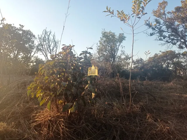 Imagem 11: TERRENO - ESMERALDAS