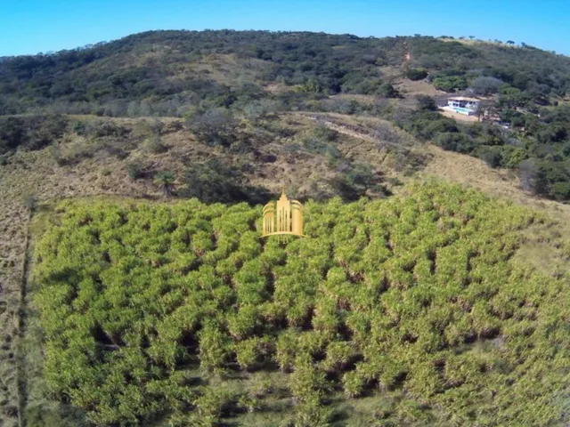 Imagem: FAZENDA 230.000M² EM CONDOMÍNIO - MATOZINHOS