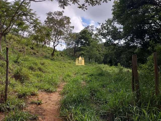 Imagem 13: FAZENDA 230.000M² EM CONDOMÍNIO - MATOZINHOS