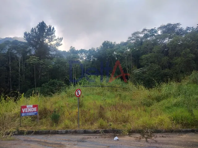Imagem 4: Loteamento Residencial em Pomerode - Sc, Testo Central