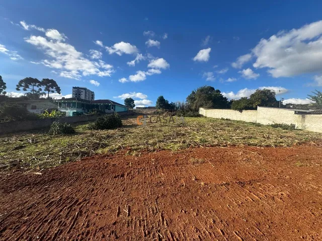 Imagem 12: TERRENO RESIDENCIAL em CAMPO LARGO - PR, CENTRO