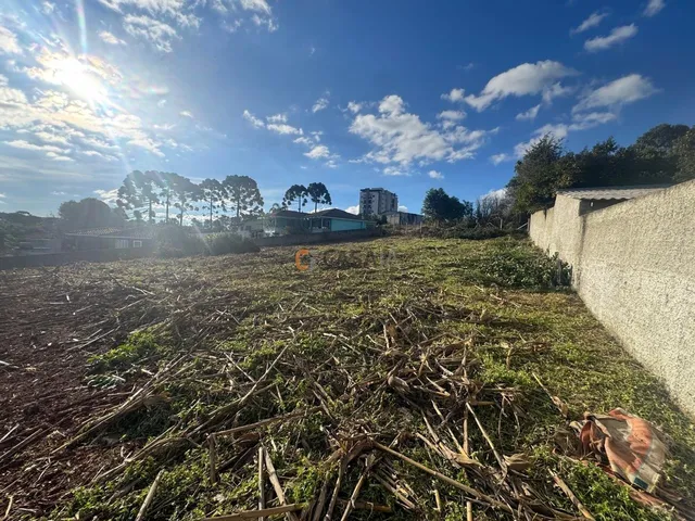 Imagem 13: TERRENO RESIDENCIAL em CAMPO LARGO - PR, CENTRO