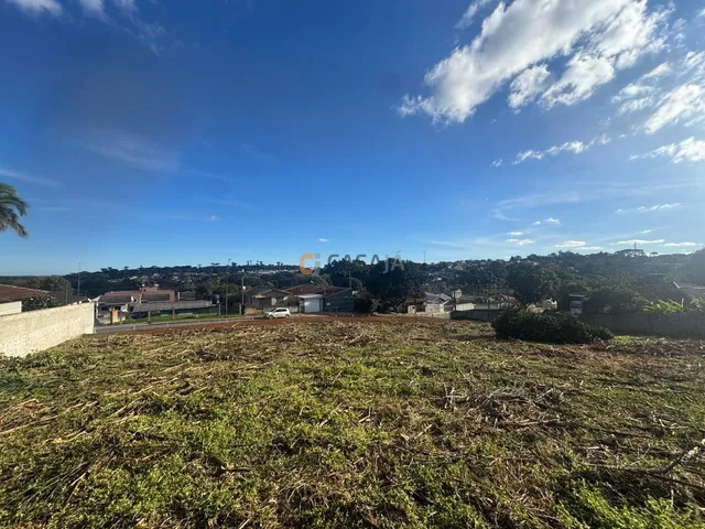 Imagem 16: TERRENO RESIDENCIAL em CAMPO LARGO - PR, CENTRO
