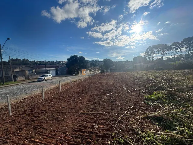 Imagem 6: TERRENO RESIDENCIAL em CAMPO LARGO - PR, CENTRO