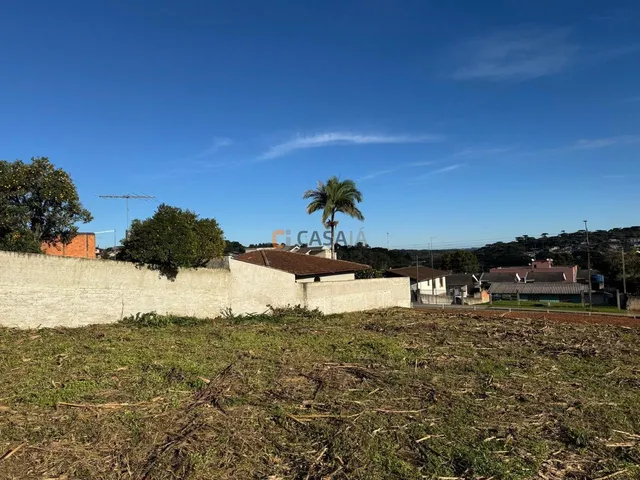 Imagem 13: TERRENO RESIDENCIAL em CAMPO LARGO - PR, CENTRO