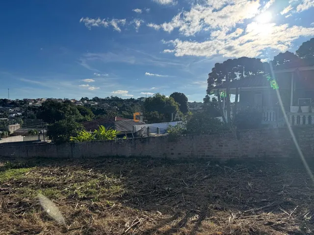 Imagem 14: TERRENO RESIDENCIAL em CAMPO LARGO - PR, CENTRO