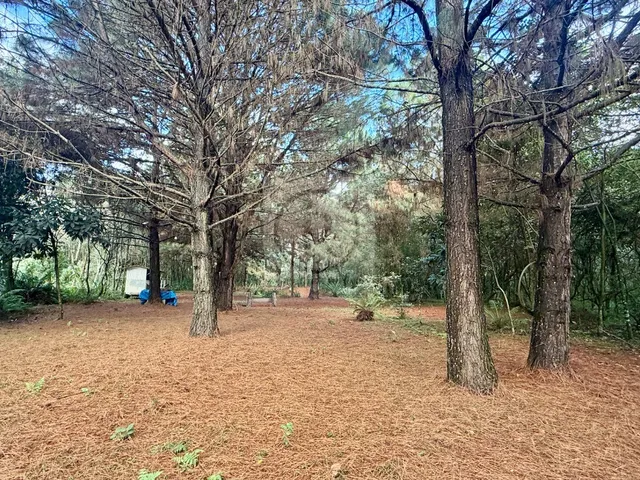 Imagem 8: Chácara em São José dos Pinhais, perto de Curitiba, local alto, casa medindo