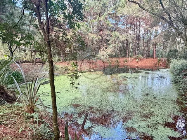 Imagem 11: Chácara em São José dos Pinhais, perto de Curitiba, local alto, casa medindo