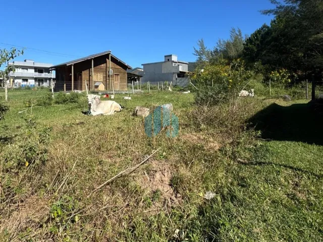Imagem 5: Ótimo Terreno a Poucos Minutos do Centro da Cidade, Ambrósio