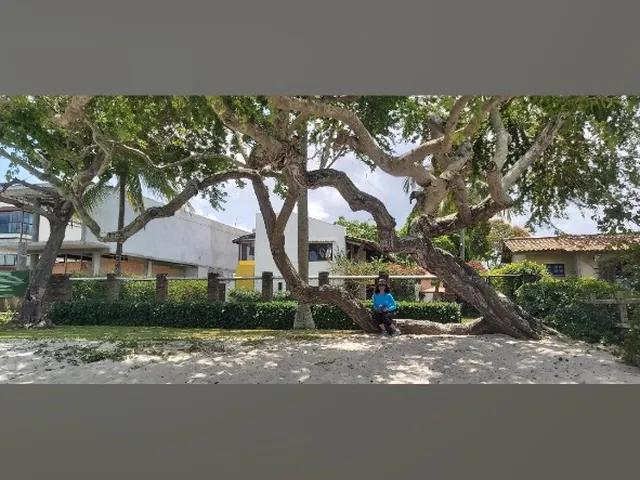 Imagem 9: Apartamento à Venda na Graça, Salvador-BA: 1 quarto, 1 suíte, 1 sala, 1 banheiro, 1