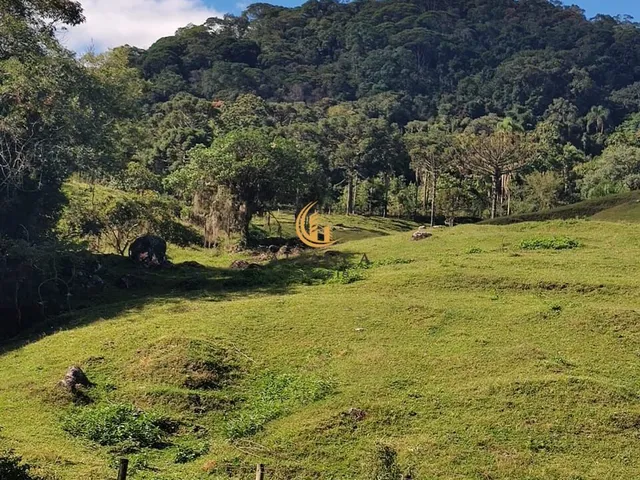 Imagem: Sítio em Área Rural, Águas Mornas/Sc
