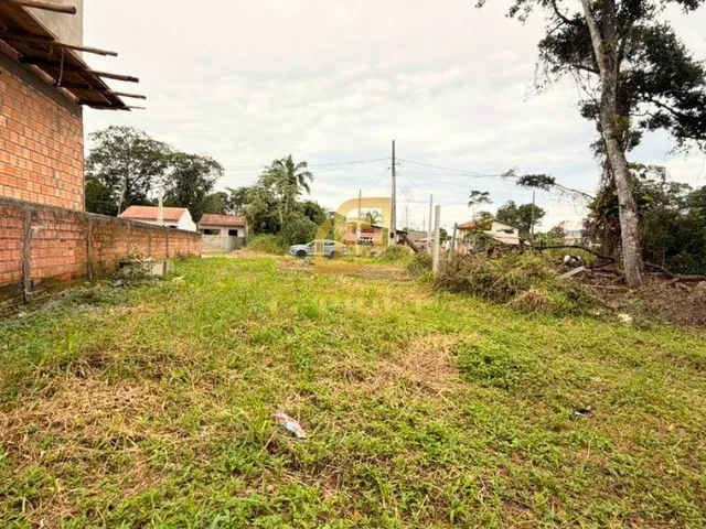 Imagem 10: Excelente Terreno Inteiro Limpo Pronto para Construir - Pgto Parcelado