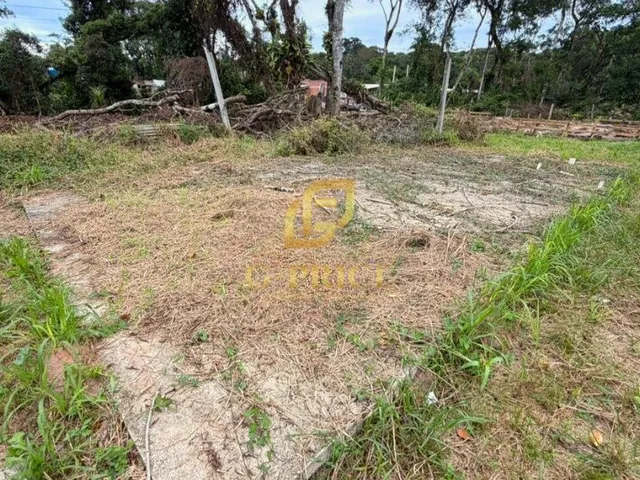 Imagem 6: Excelente Terreno Inteiro Limpo Pronto para Construir - Pgto Parcelado