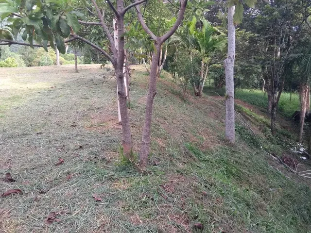 Imagem 5: Sítio à venda no bairro Santa Tecla (Ipiranga) - Gravataí/RS