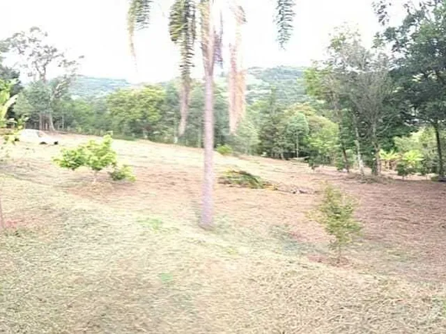 Imagem 8: Sítio à venda no bairro Santa Tecla (Ipiranga) - Gravataí/RS