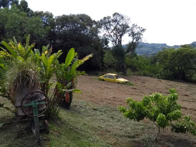 Imagem 6: Sítio à venda no bairro Santa Tecla (Ipiranga) - Gravataí/RS