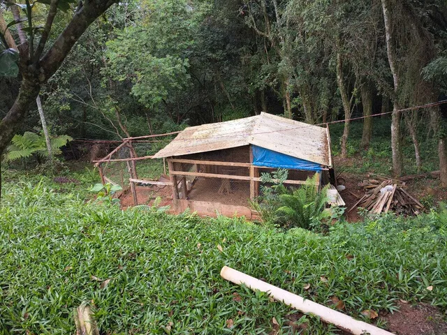 Imagem 9: Sítio à venda no bairro Santa Tecla (Ipiranga) - Gravataí/RS