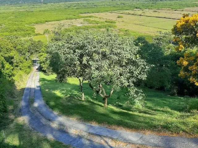 Imagem 8: Espetacular sítio no coração de Floripa