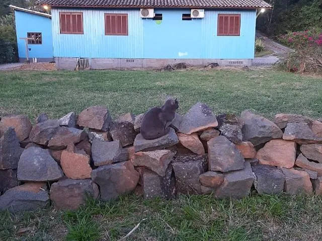 Imagem 16: Espetacular sítio no coração de Floripa