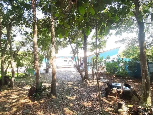 Imagem 13: Espetacular sítio no coração de Floripa