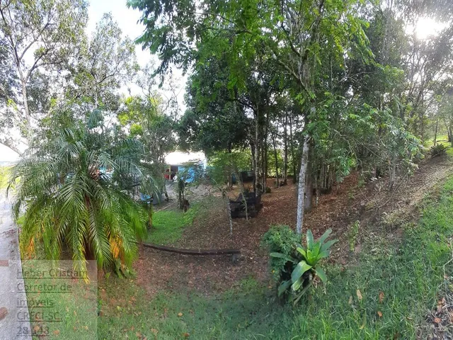 Imagem 12: Espetacular sítio no coração de Floripa