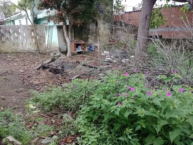 Imagem 5: Casas em terreno com 500 m² à Venda na Vila Natal – Mogi das Cruzes/SP