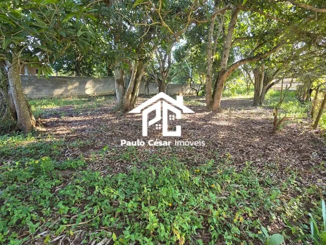 Imagem 7: Excelente oportunidade para quem busca espaço, tranquilidade e contato com a natureza!