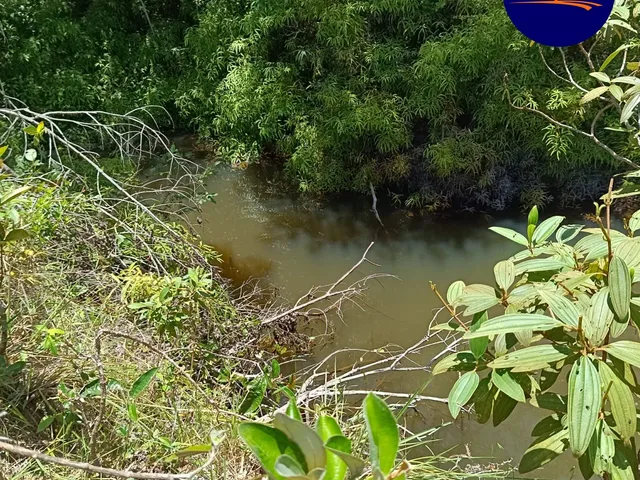Imagem 5: Chácara Alexânia 8.27h, tem cachoeira, córrego, represa, árvore frutíferas, pasto
