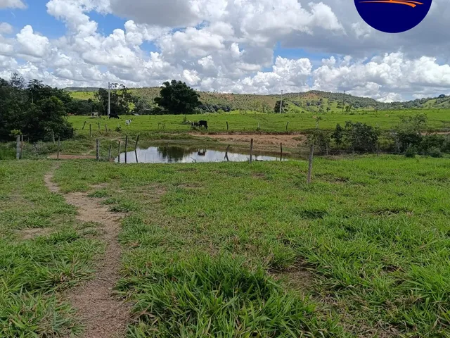Imagem 11: Chácara Alexânia 8.27h, tem cachoeira, córrego, represa, árvore frutíferas, pasto