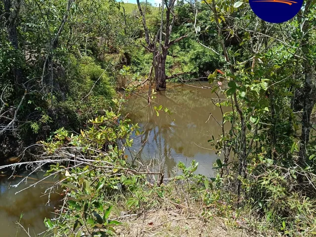 Imagem 2: Chácara Alexânia 8.27h, tem cachoeira, córrego, represa, árvore frutíferas, pasto