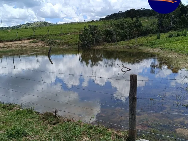 Imagem 8: Chácara Alexânia 8.27h, tem cachoeira, córrego, represa, árvore frutíferas, pasto