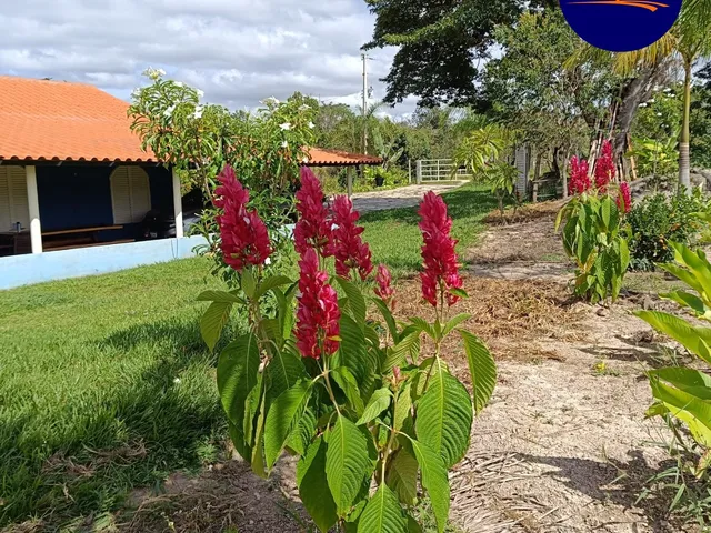Imagem 15: Chácara Alexânia 8.27h, tem cachoeira, córrego, represa, árvore frutíferas, pasto