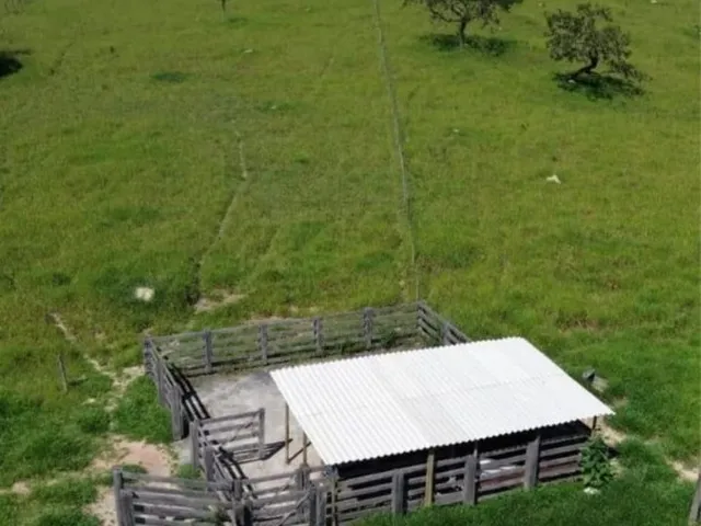 Imagem 13: Chácara Alexânia 8.27h, tem cachoeira, córrego, represa, árvore frutíferas, pasto