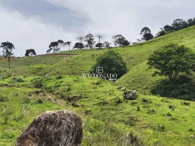 Imagem 13: Terreno a Venda em Corrego do Bom Jesus Mg 1 Alqueire 24.200 Metros