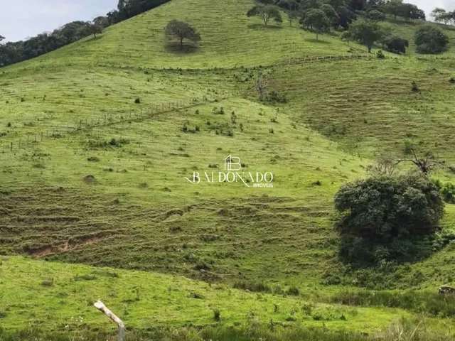 Imagem 5: Terreno a Venda em Corrego do Bom Jesus Mg 1 Alqueire 24.200 Metros