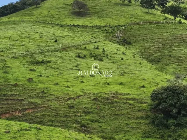 Imagem 6: Terreno a Venda em Corrego do Bom Jesus Mg 1 Alqueire 24.200 Metros