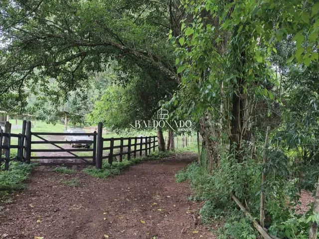 Imagem 8: CHACARA EM CORREGO DO BOM JESUS MG 1600 METROS 12KM DA CIDADE NASCENTE ESCRITURA