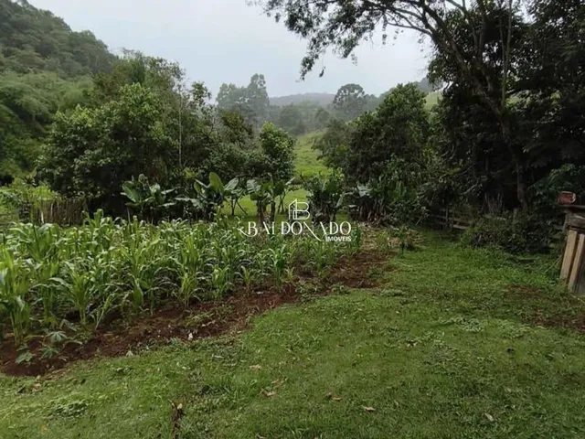 Imagem 10: CHACARA EM CORREGO DO BOM JESUS MG 1600 METROS 12KM DA CIDADE NASCENTE ESCRITURA