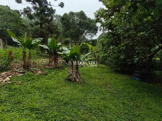 Imagem 15: CHACARA EM CORREGO DO BOM JESUS MG 1600 METROS 12KM DA CIDADE NASCENTE ESCRITURA