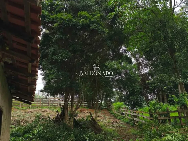 Imagem 2: CHACARA EM CORREGO DO BOM JESUS MG 1600 METROS 12KM DA CIDADE NASCENTE ESCRITURA