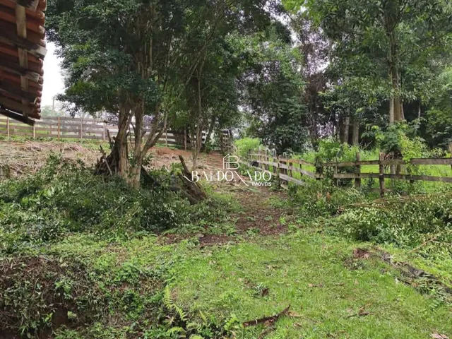 Imagem 12: CHACARA EM CORREGO DO BOM JESUS MG 1600 METROS 12KM DA CIDADE NASCENTE ESCRITURA