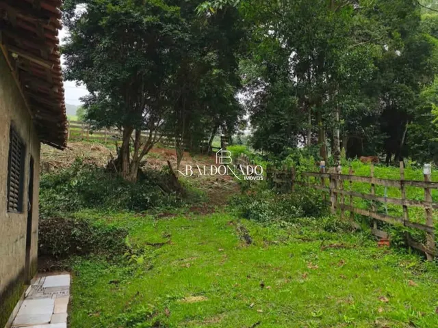 Imagem 14: CHACARA EM CORREGO DO BOM JESUS MG 1600 METROS 12KM DA CIDADE NASCENTE ESCRITURA