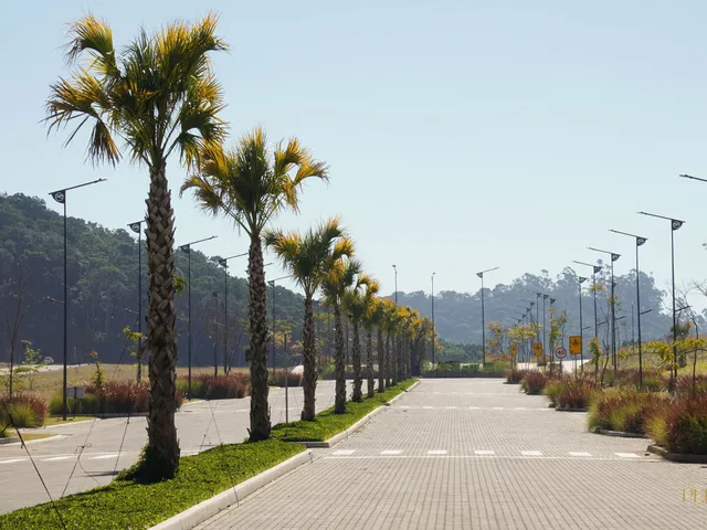 Imagem 10: Terreno em Condomínio Colinas, Camboriú/SC