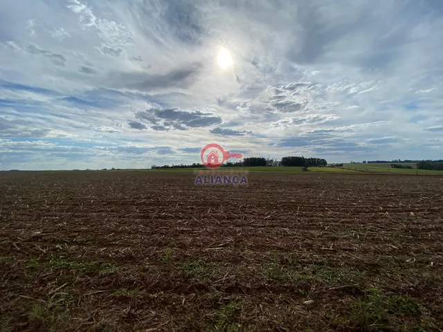 Imagem 3: Chácara à venda, ZONA RURAL, TOLEDO - PR