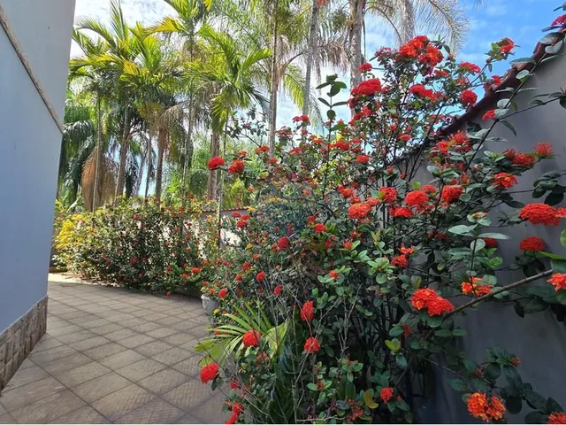 Imagem 4: Casa com 4 quartos Para venda em Campo Grande