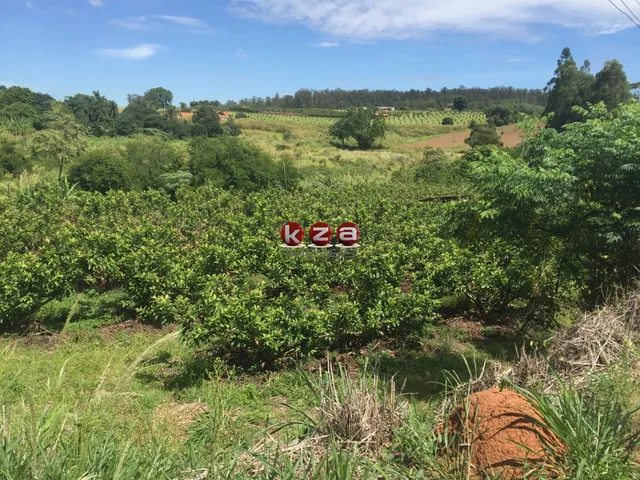 Imagem 4: Sitio À Venda em Valinhos-Sp: 3 Quartos, 1 Sala, 2 Banheiros, 46.000M² de Área no Bairro Macuco!