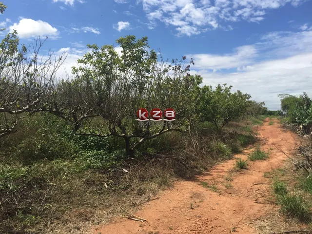 Imagem 9: Sitio À Venda em Valinhos-Sp: 3 Quartos, 1 Sala, 2 Banheiros, 46.000M² de Área no Bairro Macuco!