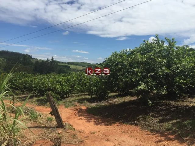 Imagem 10: Sitio À Venda em Valinhos-Sp: 3 Quartos, 1 Sala, 2 Banheiros, 46.000M² de Área no Bairro Macuco!